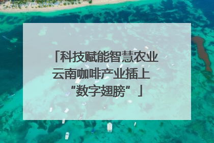 科技赋能智慧农业 云南咖啡产业插上“数字翅膀”