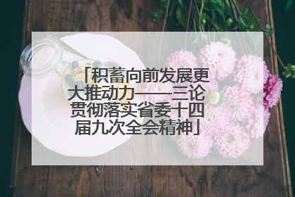 积蓄向前发展更大推动力——三论贯彻落实省委十四届九次全会精神