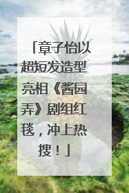 章子怡以超短发造型亮相《酱园弄》剧组红毯，冲上热搜！