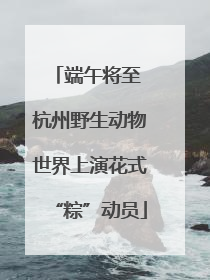 端午将至 杭州野生动物世界上演花式“粽”动员
