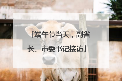 端午节当天，副省长、市委书记接访
