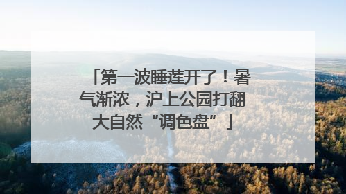 第一波睡莲开了！暑气渐浓，沪上公园打翻大自然“调色盘”