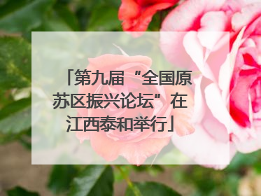 第九届“全国原苏区振兴论坛”在江西泰和举行