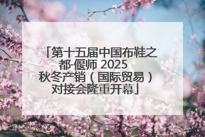 第十五届中国布鞋之都·偃师 2025 秋冬产销（国际贸易）对接会隆重开幕