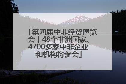 第四届中非经贸博览会丨48个非洲国家、4700多家中非企业和机构将参会