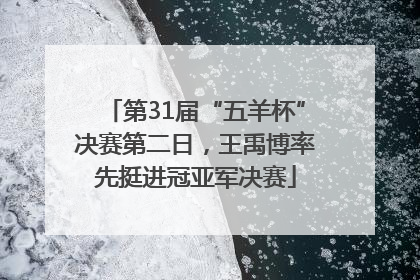 第31届“五羊杯”决赛第二日，王禹博率先挺进冠亚军决赛