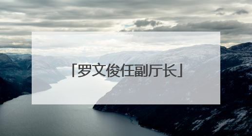 罗文俊任副厅长