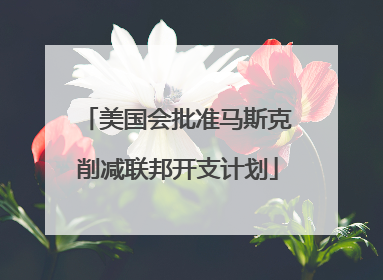 美国会批准马斯克削减联邦开支计划
