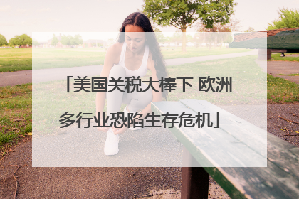 美国关税大棒下 欧洲多行业恐陷生存危机