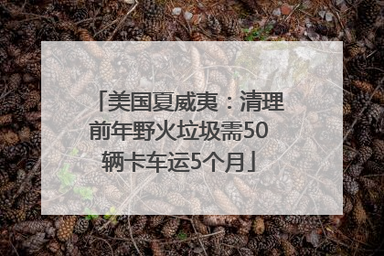 美国夏威夷：清理前年野火垃圾需50辆卡车运5个月