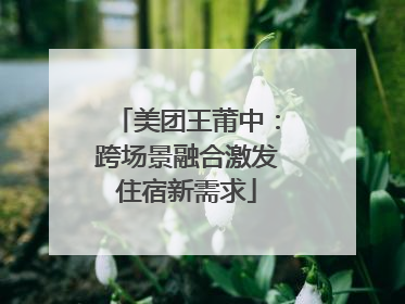 美团王莆中：跨场景融合激发住宿新需求