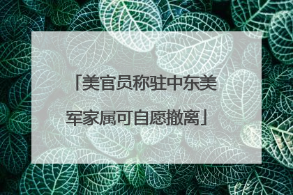 美官员称驻中东美军家属可自愿撤离