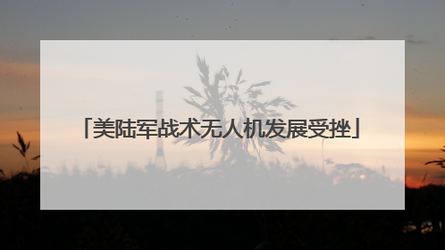 美陆军战术无人机发展受挫