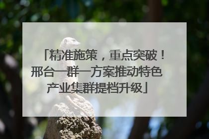 精准施策，重点突破！邢台一群一方案推动特色产业集群提档升级