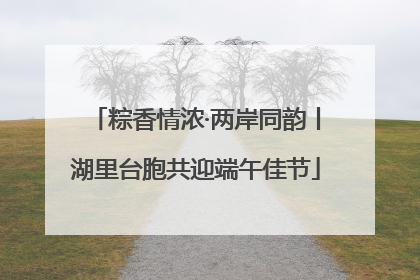 粽香情浓·两岸同韵丨湖里台胞共迎端午佳节