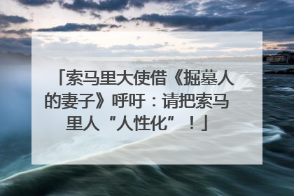 索马里大使借《掘墓人的妻子》呼吁：请把索马里人“人性化”！