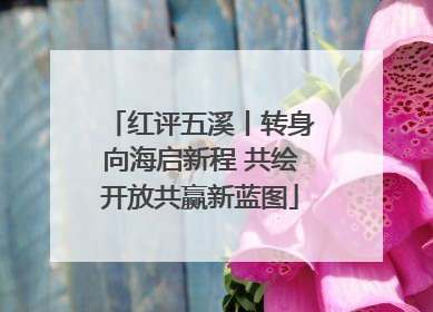 红评五溪丨转身向海启新程 共绘开放共赢新蓝图