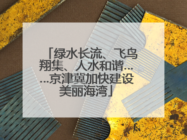 绿水长流、飞鸟翔集、人水和谐……京津冀加快建设美丽海湾