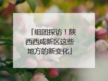 组团探访！陕西西咸新区这些地方的新变化
