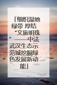 细织湿地绿带 厚结“文旅明珠”——中法武汉生态示范城挖掘绿色发展新动能