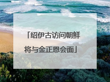 绍伊古访问朝鲜 将与金正恩会面