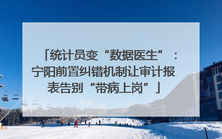 统计员变“数据医生”：宁阳前置纠错机制让审计报表告别“带病上岗”