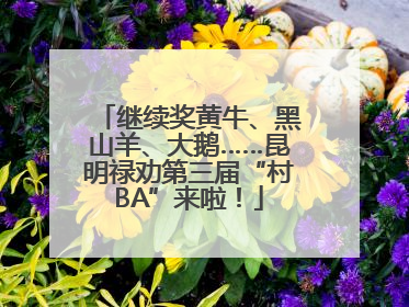 继续奖黄牛、黑山羊、大鹅……昆明禄劝第三届“村BA”来啦！