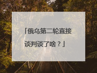 俄乌第二轮直接谈判谈了啥？