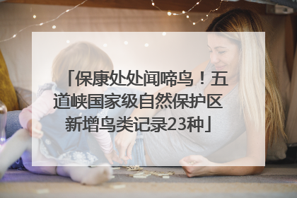 保康处处闻啼鸟！五道峡国家级自然保护区新增鸟类记录23种