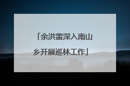 余洪雷深入南山乡开展巡林工作