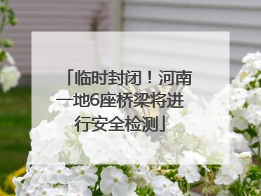 临时封闭！河南一地6座桥梁将进行安全检测