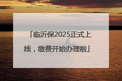 临沂保2025正式上线，缴费开始办理啦