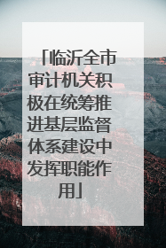 临沂全市审计机关积极在统筹推进基层监督体系建设中发挥职能作用