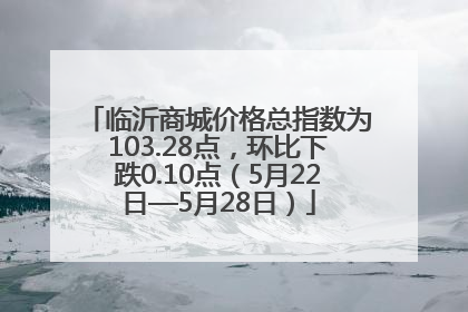 临沂商城价格总指数为103.28点，环比下跌0.10点（5月22日—5月28日）