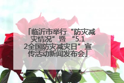 临沂市举行“防灾减灾情况”暨 “5.12全国防灾减灾日”宣传活动新闻发布会