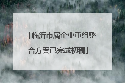 临沂市属企业重组整合方案已完成初稿