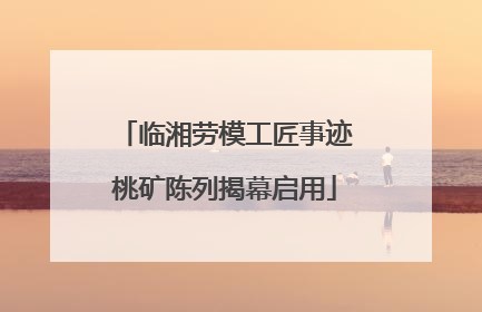 临湘劳模工匠事迹桃矿陈列揭幕启用