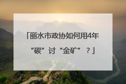 丽水市政协如何用4年“碳”讨“金矿”？