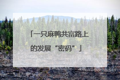 一只麻鸭共富路上的发展“密码”