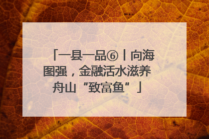 一县一品⑥丨向海图强，金融活水滋养舟山“致富鱼”