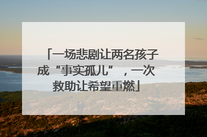 一场悲剧让两名孩子成“事实孤儿”，一次救助让希望重燃