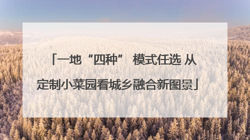 一地“四种” 模式任选 从定制小菜园看城乡融合新图景