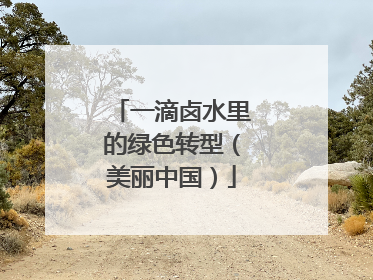 一滴卤水里的绿色转型（美丽中国）