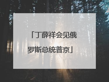 丁薛祥会见俄罗斯总统普京