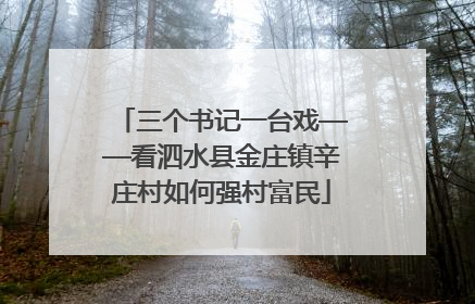 三个书记一台戏——看泗水县金庄镇辛庄村如何强村富民