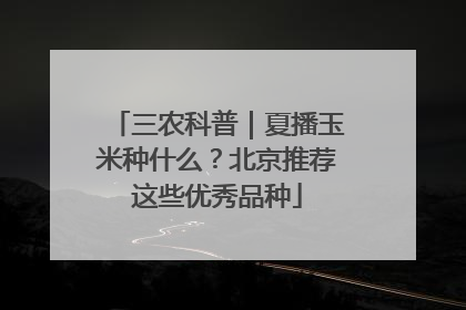 三农科普｜夏播玉米种什么？北京推荐这些优秀品种