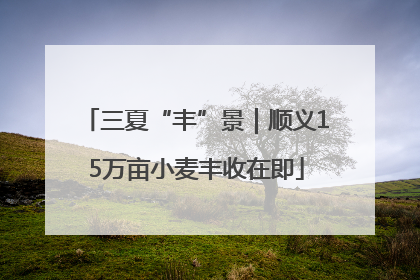 三夏“丰”景｜顺义15万亩小麦丰收在即