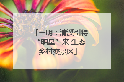 三明：清溪引得“明星”来 生态乡村变景区