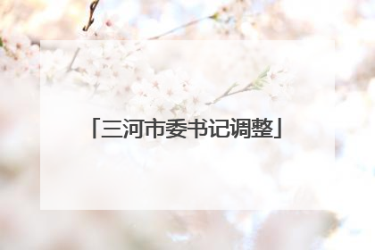 三河市委书记调整