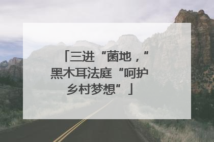 三进“菌地，”黑木耳法庭“呵护乡村梦想”